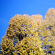 Image for article titled Shooting Challenge Freelensing Gallery 1